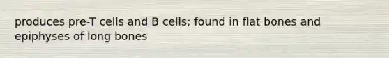 produces pre-T cells and B cells; found in flat bones and epiphyses of long bones