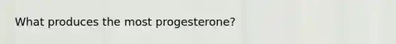 What produces the most progesterone?