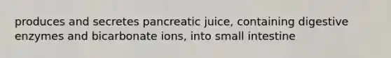 produces and secretes pancreatic juice, containing <a href='https://www.questionai.com/knowledge/kK14poSlmL-digestive-enzymes' class='anchor-knowledge'>digestive enzymes</a> and bicarbonate ions, into small intestine