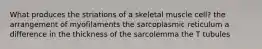 What produces the striations of a skeletal muscle cell? the arrangement of myofilaments the sarcoplasmic reticulum a difference in the thickness of the sarcolemma the T tubules