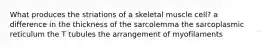 What produces the striations of a skeletal muscle cell? a difference in the thickness of the sarcolemma the sarcoplasmic reticulum the T tubules the arrangement of myofilaments