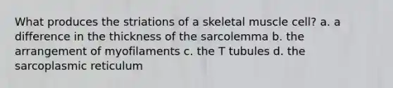 What produces the striations of a skeletal muscle cell? a. a difference in the thickness of the sarcolemma b. the arrangement of myofilaments c. the T tubules d. the sarcoplasmic reticulum