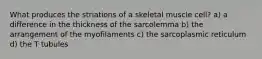 What produces the striations of a skeletal muscle cell? a) a difference in the thickness of the sarcolemma b) the arrangement of the myofilaments c) the sarcoplasmic reticulum d) the T tubules