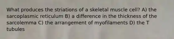 What produces the striations of a skeletal muscle cell? A) the sarcoplasmic reticulum B) a difference in the thickness of the sarcolemma C) the arrangement of myofilaments D) the T tubules