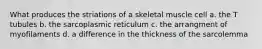What produces the striations of a skeletal muscle cell a. the T tubules b. the sarcoplasmic reticulum c. the arrangment of myofilaments d. a difference in the thickness of the sarcolemma