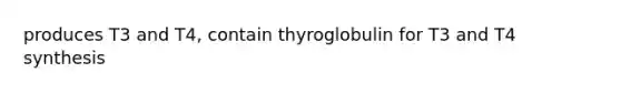 produces T3 and T4, contain thyroglobulin for T3 and T4 synthesis