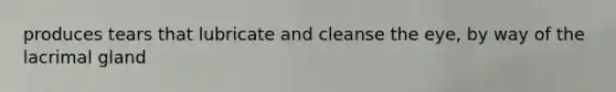 produces tears that lubricate and cleanse the eye, by way of the lacrimal gland