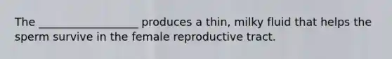 The __________________ produces a thin, milky fluid that helps the sperm survive in the female reproductive tract.