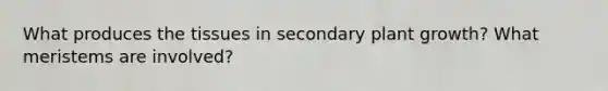 What produces the tissues in secondary plant growth? What meristems are involved?