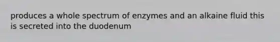 produces a whole spectrum of enzymes and an alkaine fluid this is secreted into the duodenum