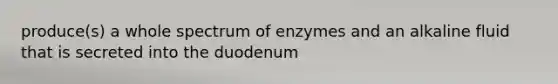 produce(s) a whole spectrum of enzymes and an alkaline fluid that is secreted into the duodenum