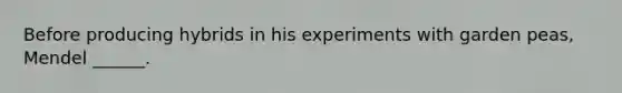 Before producing hybrids in his experiments with garden peas, Mendel ______.