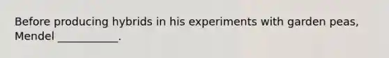 Before producing hybrids in his experiments with garden peas, Mendel ___________.