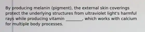 By producing melanin (pigment), the external skin coverings protect the underlying structures from ultraviolet light's harmful rays while producing vitamin ________, which works with calcium for multiple body processes.