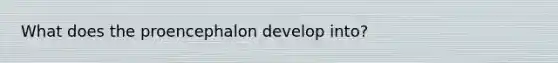 What does the proencephalon develop into?