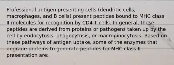 Professional antigen presenting cells (dendritic cells, macrophages, and B cells) present peptides bound to MHC class II molecules for recognition by CD4 T cells. In general, these peptides are derived from proteins or pathogens taken up by the cell by endocytosis, phagocytosis, or macropinocytosis. Based on these pathways of antigen uptake, some of the enzymes that degrade proteins to generate peptides for MHC class II presentation are: