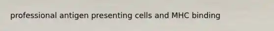 professional antigen presenting cells and MHC binding