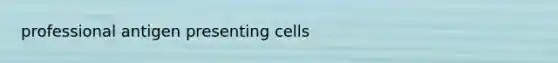 professional antigen presenting cells