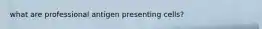 what are professional antigen presenting cells?