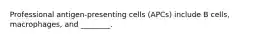 Professional antigen-presenting cells (APCs) include B cells, macrophages, and ________.