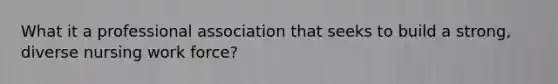 What it a professional association that seeks to build a strong, diverse nursing work force?