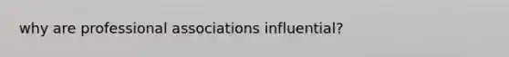 why are professional associations influential?