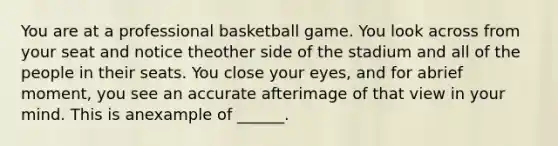 You are at a professional basketball game. You look across from your seat and notice theother side of the stadium and all of the people in their seats. You close your eyes, and for abrief moment, you see an accurate afterimage of that view in your mind. This is anexample of ______.