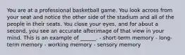 You are at a professional basketball game. You look across from your seat and notice the other side of the stadium and all of the people in their seats. You close your eyes, and for about a second, you see an accurate afterimage of that view in your mind. This is an example of ______. - short-term memory - long-term memory - working memory - sensory memory