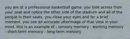 you are at a professional basketball game. you look across from your seat and notice the other side of the stadium and all of the people in their seats. you close your eyes and for a brief moment, you see an accurate afterimage of that view in your mind. this is an example of - sensory memory - working memory - short-term memory - long-term memory