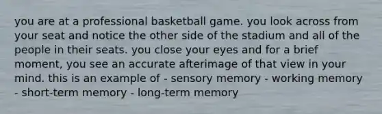 you are at a professional basketball game. you look across from your seat and notice the other side of the stadium and all of the people in their seats. you close your eyes and for a brief moment, you see an accurate afterimage of that view in your mind. this is an example of - sensory memory - working memory - short-term memory - long-term memory