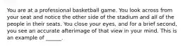 You are at a professional basketball game. You look across from your seat and notice the other side of the stadium and all of the people in their seats. You close your eyes, and for a brief second, you see an accurate afterimage of that view in your mind. This is an example of ______.