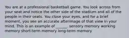 You are at a professional basketball game. You look across from your seat and notice the other side of the stadium and all of the people in their seats. You close your eyes, and for a brief moment, you see an accurate afterimage of that view in your mind. This is an example of ______. sensory memory working memory short-term memory long-term memory