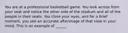 You are at a professional basketball game. You look across from your seat and notice the other side of the stadium and all of the people in their seats. You close your eyes, and for a brief moment, you see an accurate afterimage of that view in your mind. This is an example of ______