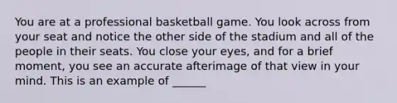 You are at a professional basketball game. You look across from your seat and notice the other side of the stadium and all of the people in their seats. You close your eyes, and for a brief moment, you see an accurate afterimage of that view in your mind. This is an example of ______