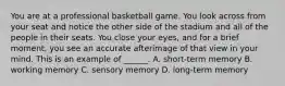 You are at a professional basketball game. You look across from your seat and notice the other side of the stadium and all of the people in their seats. You close your eyes, and for a brief moment, you see an accurate afterimage of that view in your mind. This is an example of ______. A. short-term memory B. working memory C. sensory memory D. long-term memory