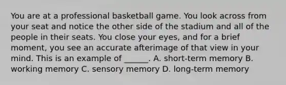 You are at a professional basketball game. You look across from your seat and notice the other side of the stadium and all of the people in their seats. You close your eyes, and for a brief moment, you see an accurate afterimage of that view in your mind. This is an example of ______. A. short-term memory B. working memory C. sensory memory D. long-term memory