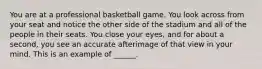 You are at a professional basketball game. You look across from your seat and notice the other side of the stadium and all of the people in their seats. You close your eyes, and for about a second, you see an accurate afterimage of that view in your mind. This is an example of ______.