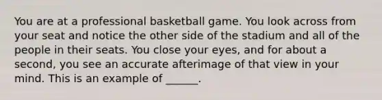 You are at a professional basketball game. You look across from your seat and notice the other side of the stadium and all of the people in their seats. You close your eyes, and for about a second, you see an accurate afterimage of that view in your mind. This is an example of ______.