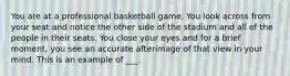 You are at a professional basketball game. You look across from your seat and notice the other side of the stadium and all of the people in their seats. You close your eyes and for a brief moment, you see an accurate afterimage of that view in your mind. This is an example of ___.