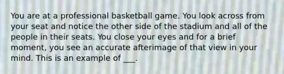 You are at a professional basketball game. You look across from your seat and notice the other side of the stadium and all of the people in their seats. You close your eyes and for a brief moment, you see an accurate afterimage of that view in your mind. This is an example of ___.