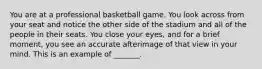 You are at a professional basketball game. You look across from your seat and notice the other side of the stadium and all of the people in their seats. You close your eyes, and for a brief moment, you see an accurate afterimage of that view in your mind. This is an example of _______.