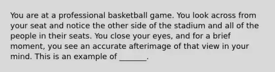 You are at a professional basketball game. You look across from your seat and notice the other side of the stadium and all of the people in their seats. You close your eyes, and for a brief moment, you see an accurate afterimage of that view in your mind. This is an example of _______.