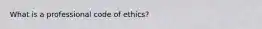 What is a professional code of ethics?