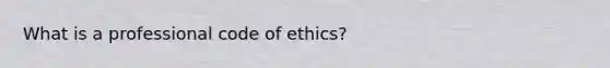 What is a professional code of ethics?