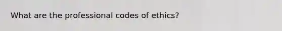 What are the professional codes of ethics?