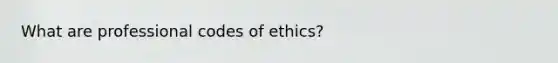 What are professional codes of ethics?