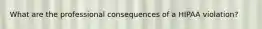 What are the professional consequences of a HIPAA violation?