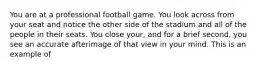 You are at a professional football game. You look across from your seat and notice the other side of the stadium and all of the people in their seats. You close your, and for a brief second, you see an accurate afterimage of that view in your mind. This is an example of