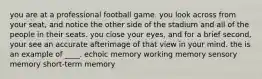 you are at a professional football game. you look across from your seat, and notice the other side of the stadium and all of the people in their seats. you close your eyes, and for a brief second, your see an accurate afterimage of that view in your mind. the is an example of ____. echoic memory working memory sensory memory short-term memory