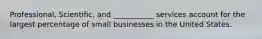 Professional, Scientific, and ___________ services account for the largest percentage of small businesses in the United States.